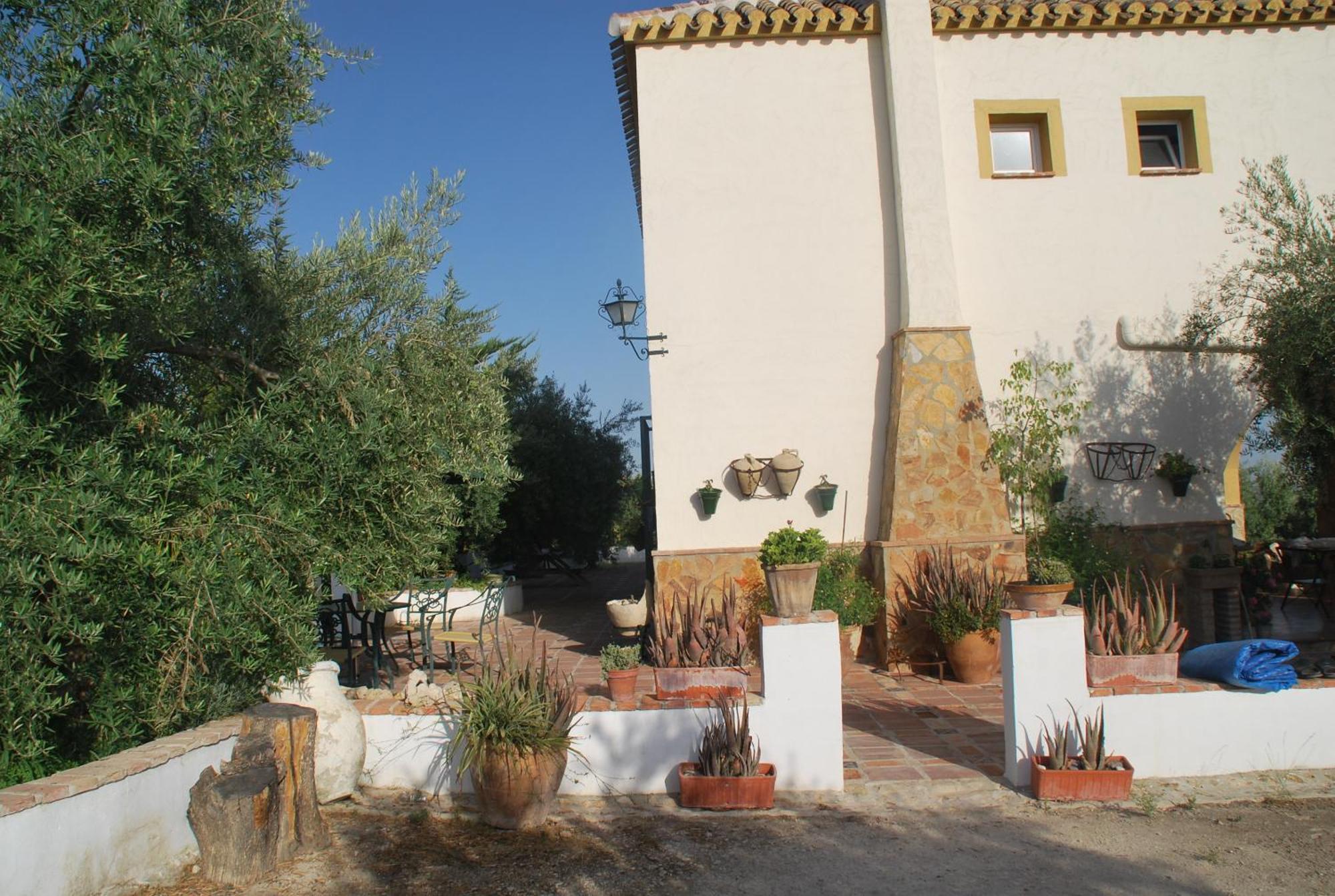 Agroturismo Ecologico El Cortijillo Luque Екстер'єр фото