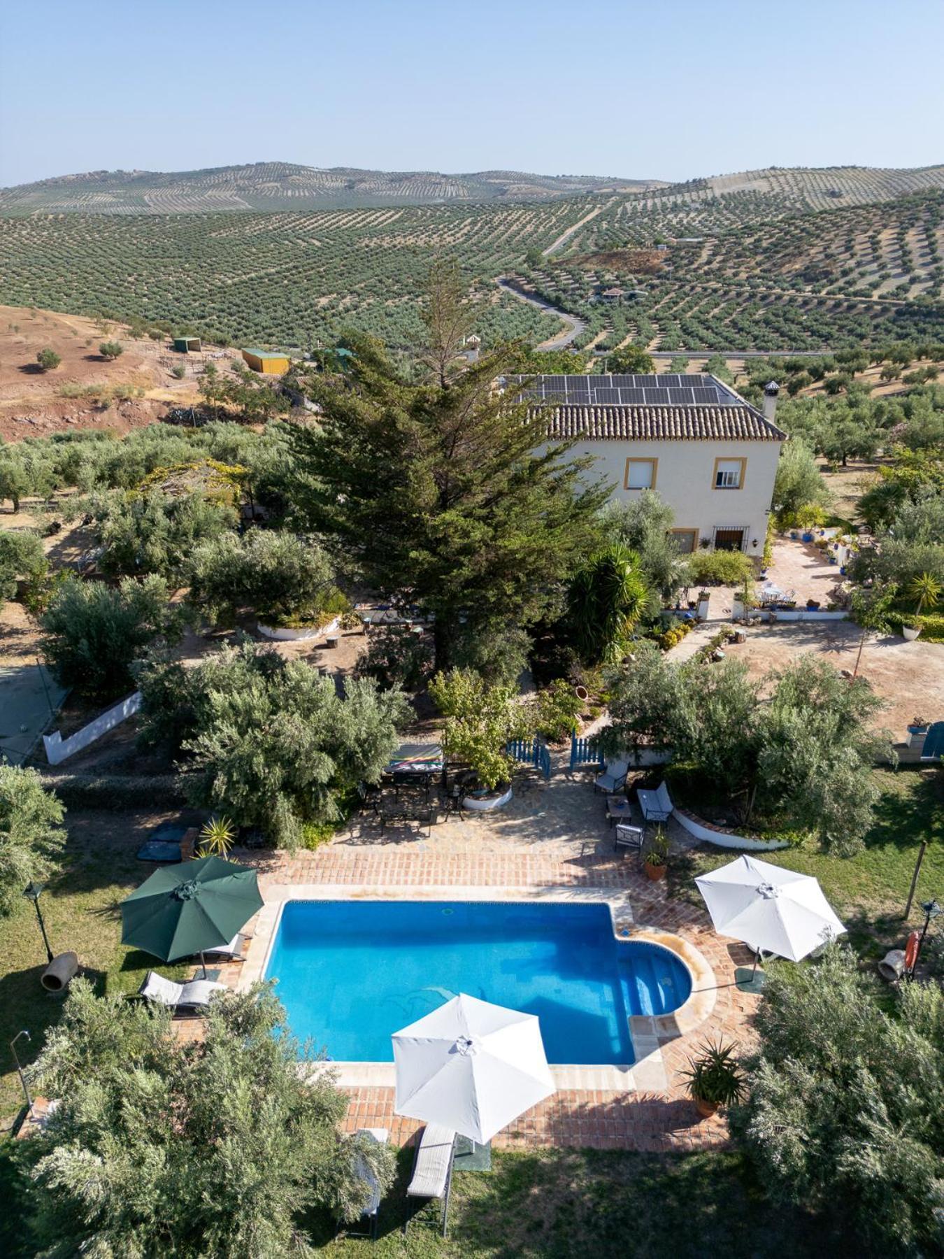 Agroturismo Ecologico El Cortijillo Luque Екстер'єр фото