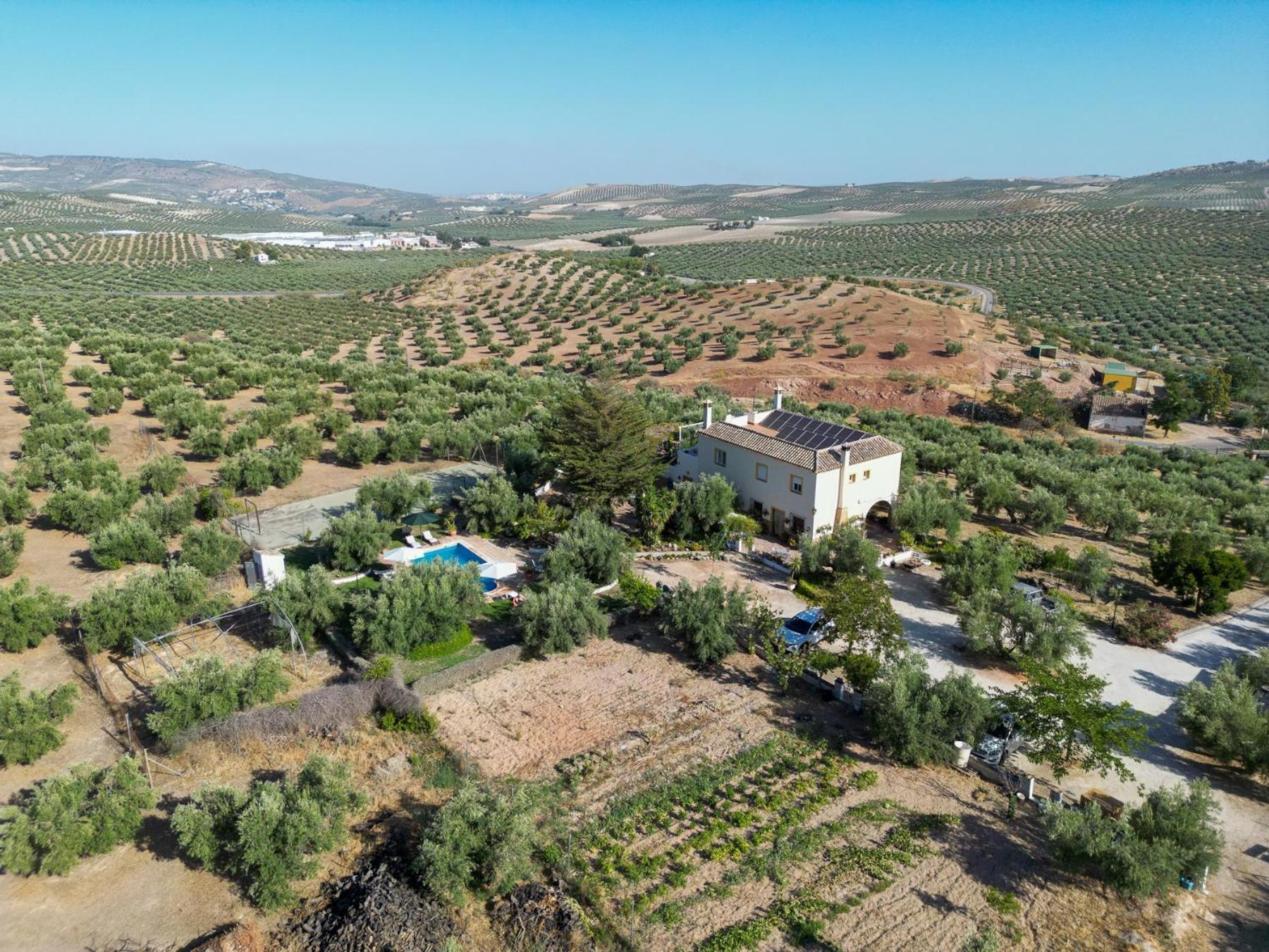 Agroturismo Ecologico El Cortijillo Luque Екстер'єр фото