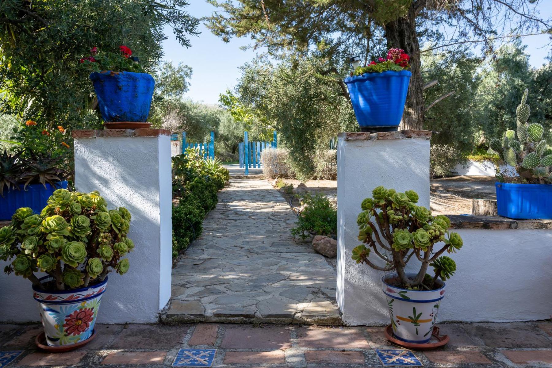 Agroturismo Ecologico El Cortijillo Luque Екстер'єр фото