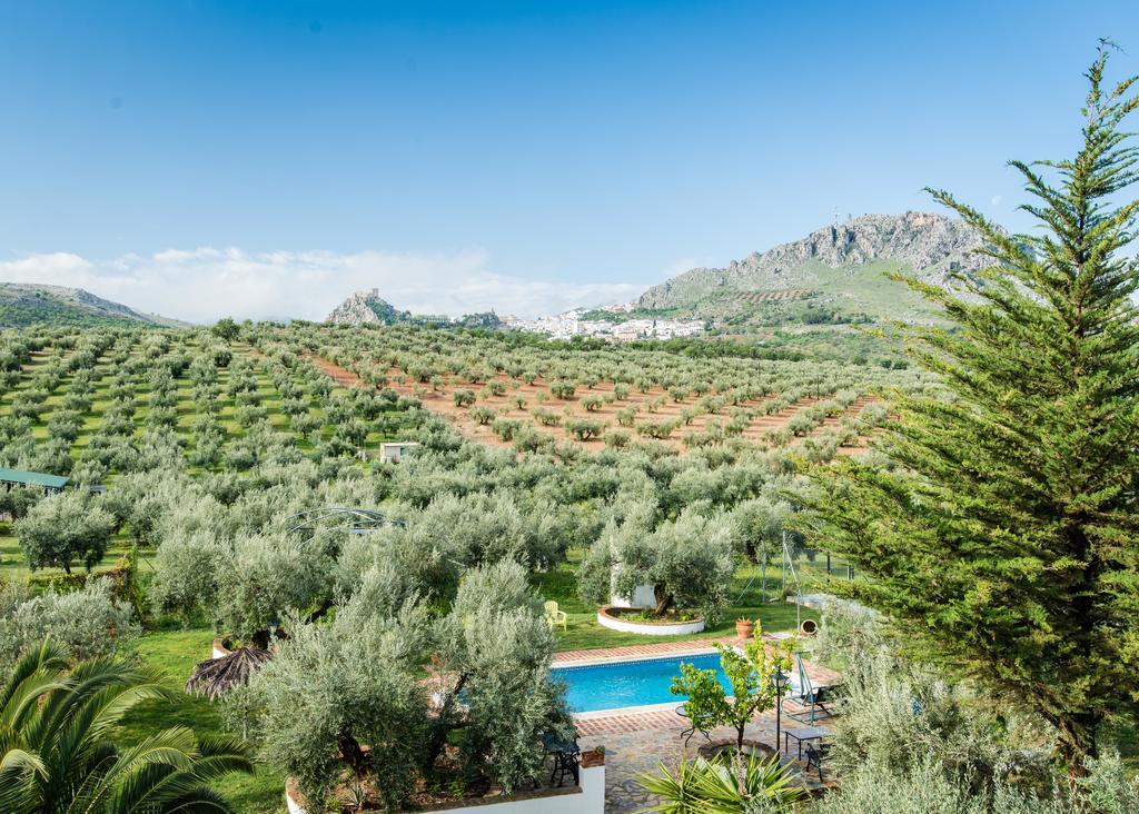 Agroturismo Ecologico El Cortijillo Luque Екстер'єр фото