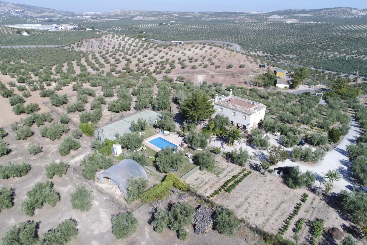 Agroturismo Ecologico El Cortijillo Luque Екстер'єр фото