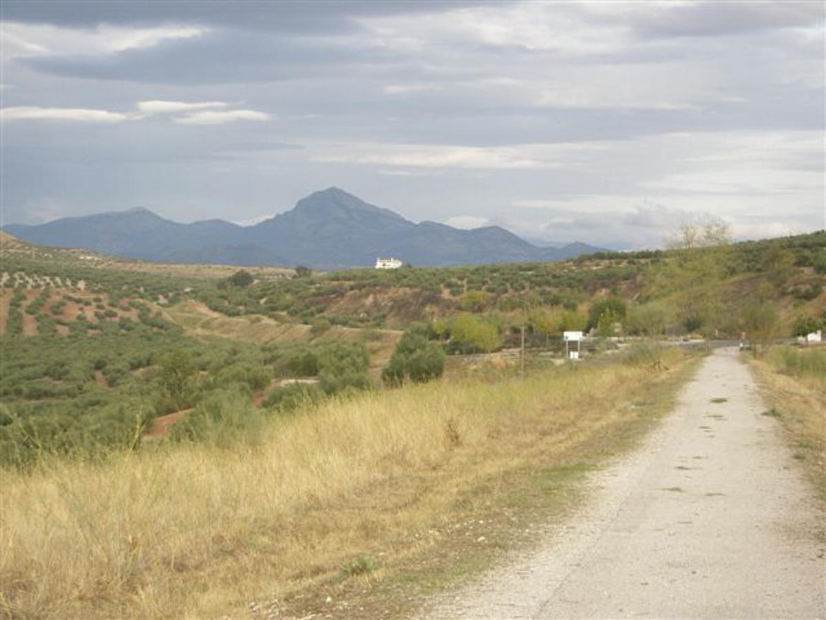 Agroturismo Ecologico El Cortijillo Luque Екстер'єр фото